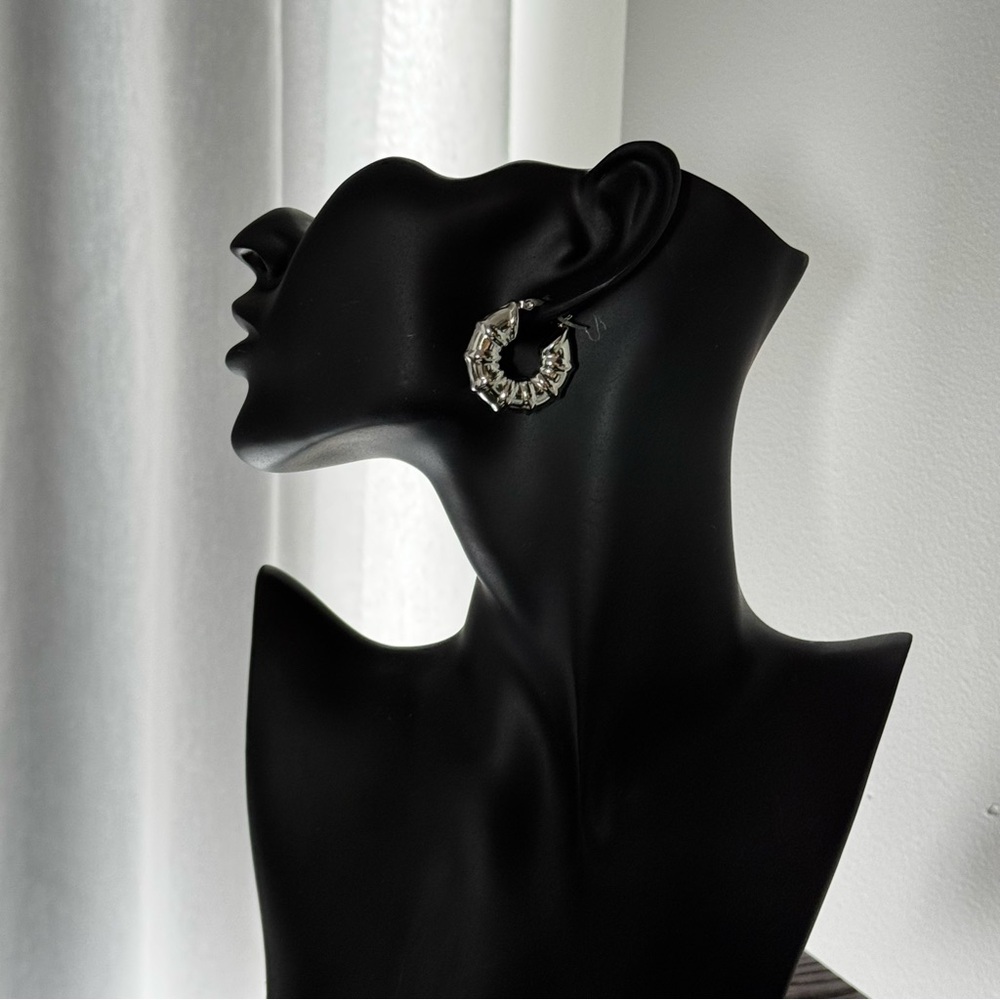 ✨Chic Silver Hoop Earrings Hypoallergenic